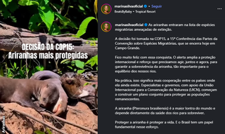 Ariranhas entram em lista de esp&eacute;cies amea&ccedil;adas ap&oacute;s decis&atilde;o da COP15