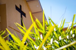 Domingo de Ramos re&uacute;ne fi&eacute;is em prociss&atilde;o e abre Semana Santa na Capital