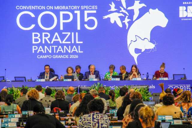 COP15 confirma medidas para prote&ccedil;&atilde;o de animais que cruzam pa&iacute;ses