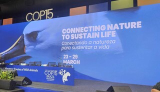 Fauna do mundo encontra o Pantanal e se sente acolhida na Capital