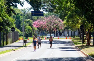 Cliques nos treinos viraram febre e parque ganhou 'ex&eacute;rcito' de fot&oacute;grafos