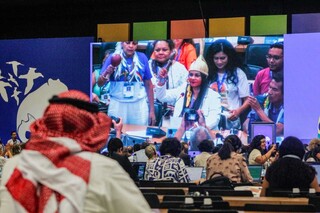 COP15 encerra debates e decis&otilde;es t&ecirc;m peso legal para todos os pa&iacute;ses parte