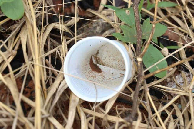 Jardim confirma 1&ordf; morte por chikungunya e MS soma 7 &oacute;bitos no ano