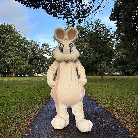 O pai &ldquo;faz tudo&rdquo; da fam&iacute;lia agora tamb&eacute;m virou Coelho da P&aacute;scoa