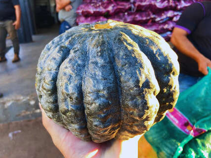 Chuva aperta oferta e faz pre&ccedil;os dispararem na Ceasa; ab&oacute;bora sobe 25%