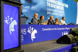 Coruja de &ldquo;Harry Potter&rdquo; entra em lista de prote&ccedil;&atilde;o global durante COP15