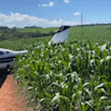 Avi&atilde;o que j&aacute; foi do &ldquo;Escobar Brasileiro" faz pouso for&ccedil;ado e 6 ficam feridos