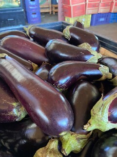 Chuva aperta oferta e faz pre&ccedil;os dispararem na Ceasa; ab&oacute;bora sobe 25%