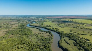 Arauco celebra os 67 anos de Inocência e seu desenvolvimento Arauco celebra os 67 anos de Inocência e seu desenvolvimento