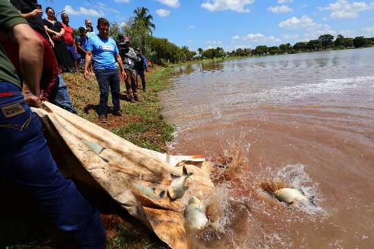 Lagos recebem 4 toneladas de peixe para pescaria de gra&ccedil;a na cidade e aldeias