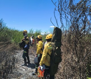 Com rio baixo e El Ni&ntilde;o &agrave; vista, Pantanal j&aacute; entra em alerta para inc&ecirc;ndios