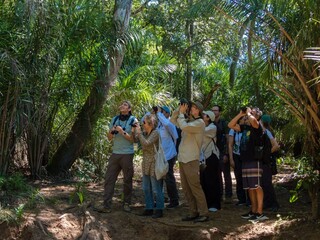 Observadores de aves de 8 países visitam o Pantanal no encerramento da COP15 Observadores de aves de 8 países visitam o Pantanal no encerramento da COP15