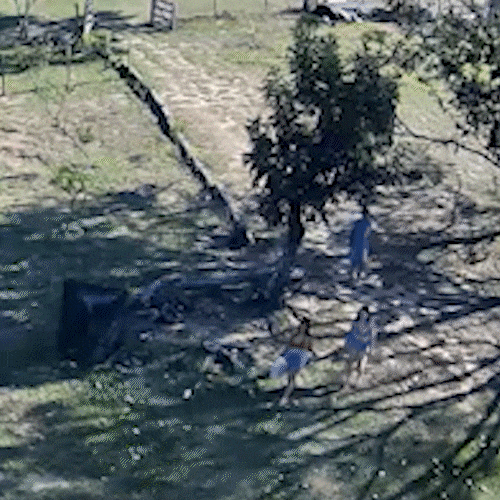 Idoso &eacute; condenado por matar jovem e tentar executar outra em fazenda 