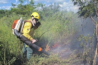 Com rio baixo e El Ni&ntilde;o &agrave; vista, Pantanal j&aacute; entra em alerta para inc&ecirc;ndios