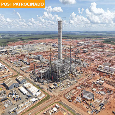 Arauco celebra os 67 anos de Inocência e seu desenvolvimento