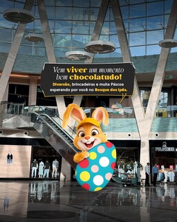 Bosque dos Ip&ecirc;s transforma P&aacute;scoa em experi&ecirc;ncia