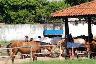 Expogrande mostra novo perfil do agro, com pavilh&atilde;o tecnol&oacute;gico e novas culturas