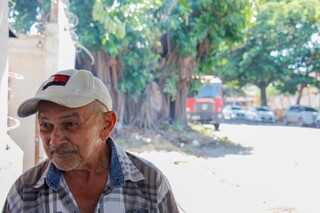 &Aacute;rvore vista como problema &eacute; incendiada pela 3&ordf; vez no Jardim Am&eacute;rica