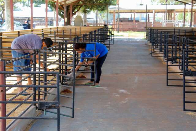 Expogrande come&ccedil;a a ganhar forma com montagem de estandes e palco
