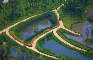 Filme de arquiteto chin&ecirc;s morto no Pantanal &eacute; retomado com novo enfoque