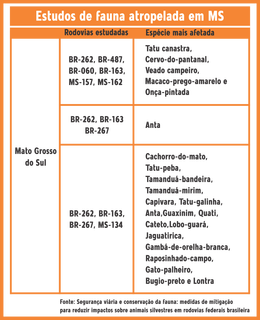 Mato Grosso do Sul vira laborat&oacute;rio para reduzir acidentes com fauna em rodovias