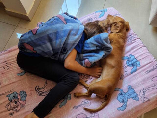 "Salsichinha" Mel desaparece e fam&iacute;lia faz apelo para encontr&aacute;-la 