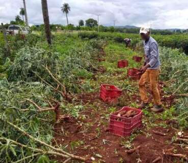 Bernal usa procura&ccedil;&atilde;o antiga para pedir reintegra&ccedil;&atilde;o de lote em assentamento
