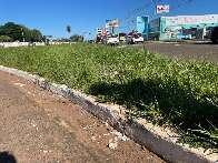 Motociclista morre ap&oacute;s colidir contra meio-fio na Duque de Caxias