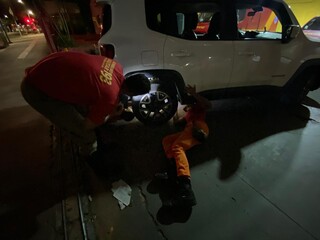 Miado desesperado exige resgate de bombeiros de gatinho na roda de ve&iacute;culo