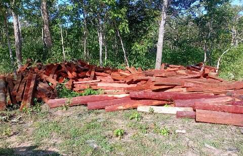 IBAMA apreende madeira nobre extra&iacute;da de forma ilegal em terra ind&iacute;gena