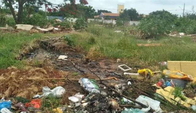 C&acirc;mara Municipal abre debate com moradores para rever lei de terrenos baldios