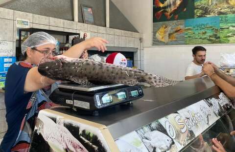 Apesar de filas, comerciantes garantem que ningu&eacute;m ficar&aacute; sem peixe no almo&ccedil;o