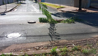 Bueiro aberto h&aacute; 3 meses preocupa moradores no Vilas Boas