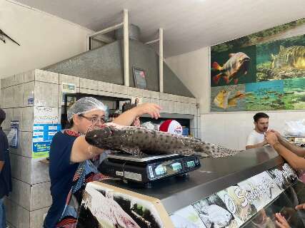 Mesmo com filas, comerciantes garantem que ningu&eacute;m ficar&aacute; sem peixe no almo&ccedil;o