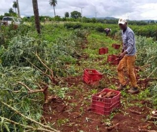 Disputa envolvendo Bernal escancara bagunça fundiária Disputa envolvendo Bernal escancara bagunça fundiária
