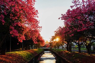 Sexta-feira Santa ser&aacute; de calor intenso em MS, com temperaturas de at&eacute; 37&deg;C