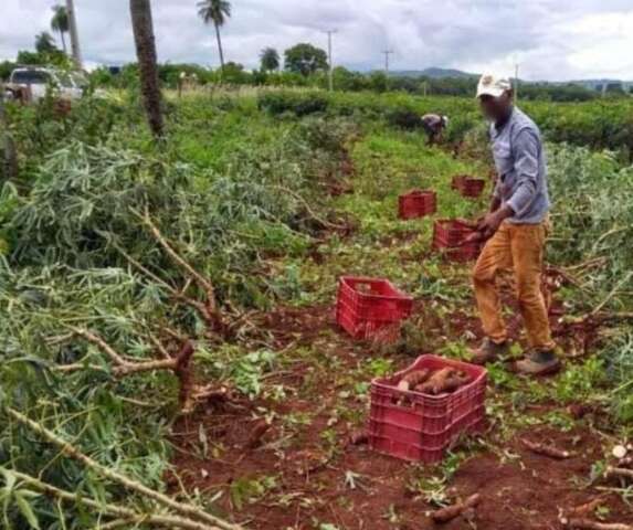 Disputa envolvendo Bernal escancara bagun&ccedil;a fundi&aacute;ria