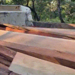 IBAMA apreende madeira nobre extra&iacute;da de forma ilegal em Terra Ind&iacute;gena Kadiw&eacute;u