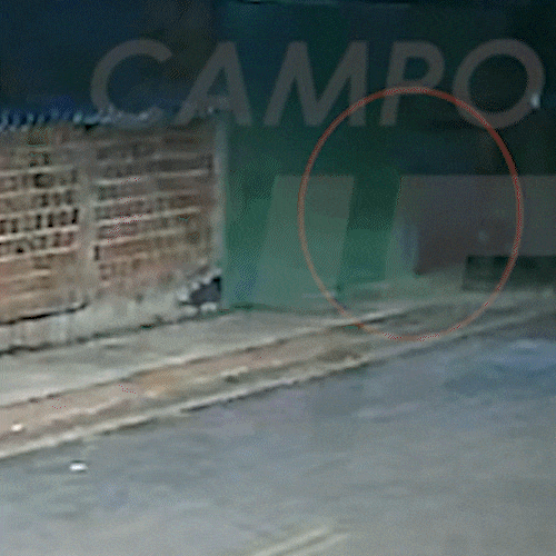 V&iacute;deo que desmente PM de Anast&aacute;cio sobre confronto &eacute; o mais visto da semana