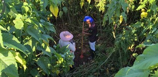 Estudo arqueológico começa em porto de Corumbá para evitar perda de patrimônio Estudo arqueológico começa em porto de Corumbá para evitar perda de patrimônio