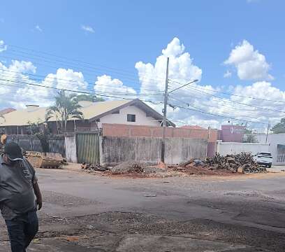 Prefeitura autorizou retirada de 6 &aacute;rvores na Vila Bandeirantes por risco