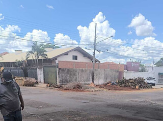 Prefeitura autorizou retirada de 6 árvores na Vila Bandeirantes por risco Prefeitura autorizou retirada de 6 árvores na Vila Bandeirantes por risco