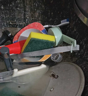 Mãe relata falta de informações sobre soro contra escorpiões na Capital Mãe relata falta de informações sobre soro contra escorpiões na Capital