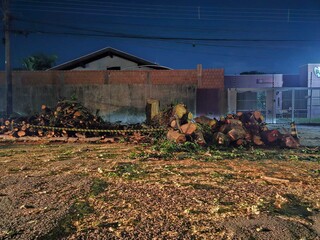 Prefeitura autorizou retirada de 6 árvores na Vila Bandeirantes por risco Prefeitura autorizou retirada de 6 árvores na Vila Bandeirantes por risco