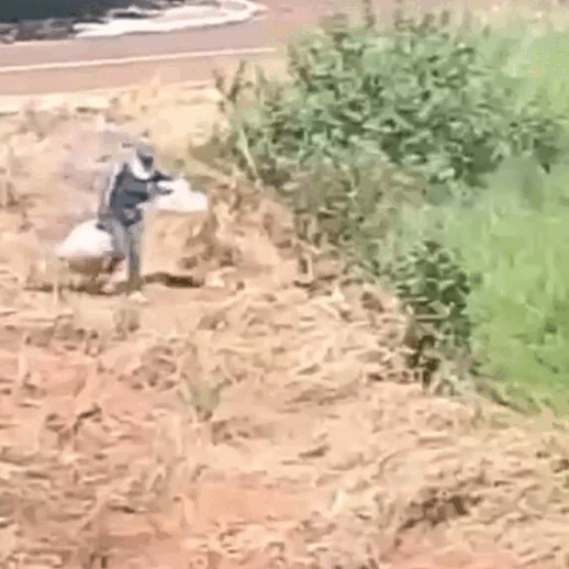 Enteada tenta matar idosa enforcada durante assalto a resid&ecirc;ncia