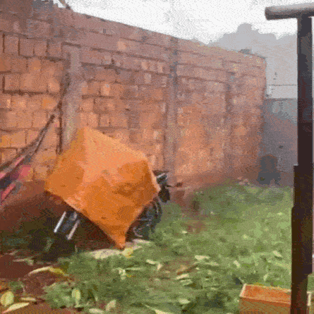 Moradores registram queda de granizo durante chuva em Campo Grande