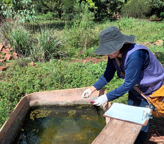 Mapas mostram a evolu&ccedil;&atilde;o da chikungunya em todas as regi&otilde;es de Dourados