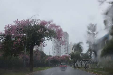 MS entra na rota de ciclone e ter&aacute; temporais e frente fria a partir de segunda