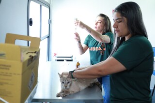 Consult&oacute;rio m&oacute;vel inicia atendimentos gratuitos a c&atilde;es e gatos nesta segunda