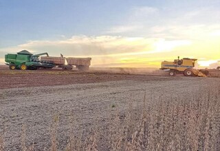 Colheita da soja e plantio do milho entram na fase final em Mato Grosso do Sul